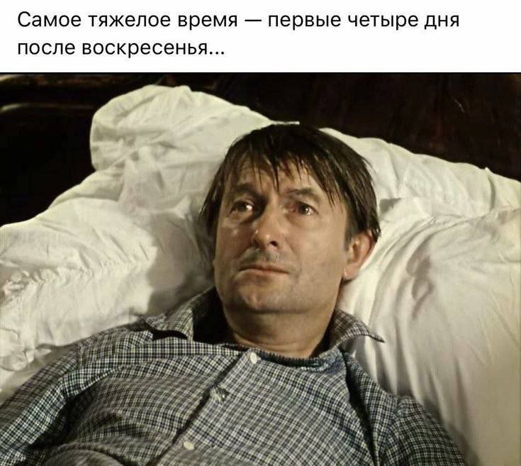 expert10