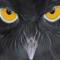 Owl2