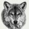 Ghost-wolf