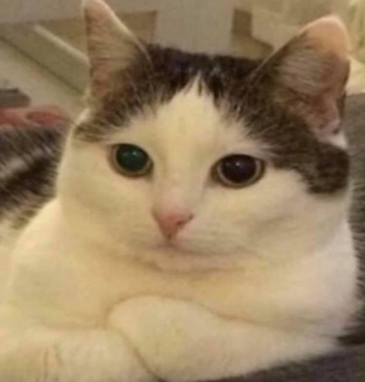 Денис