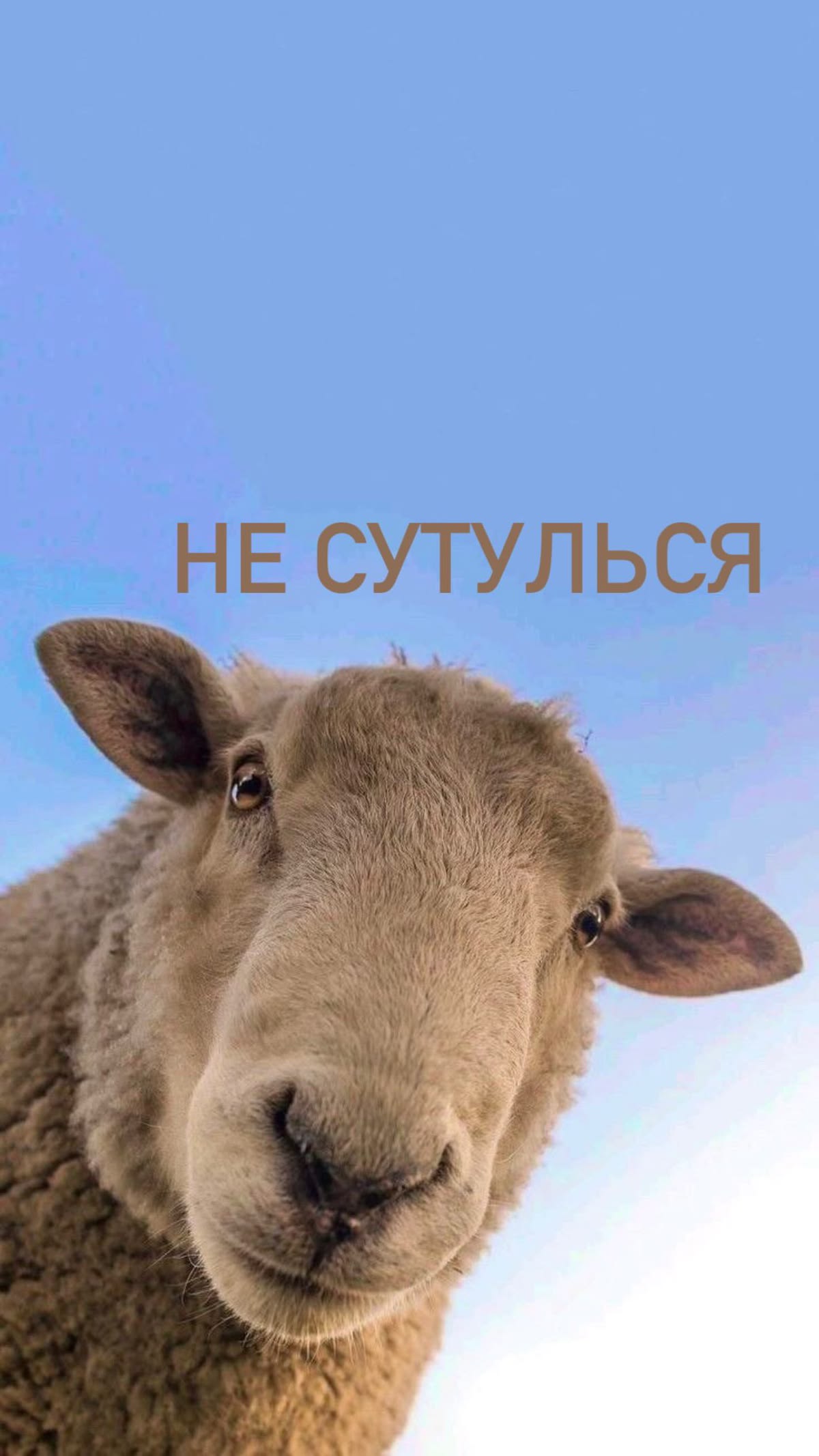 Изображение из комментария