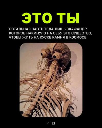 Изображение из комментария