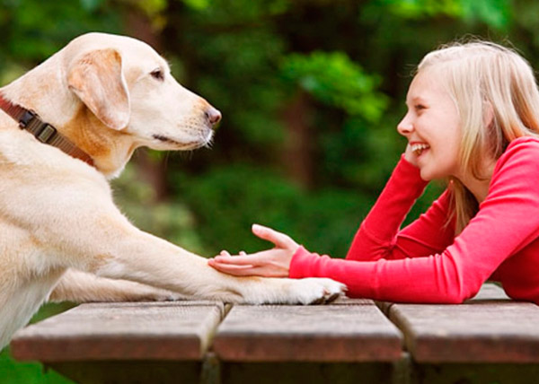 Собачий мозг обрабатывает речевую информацию почти так же, как человеческий