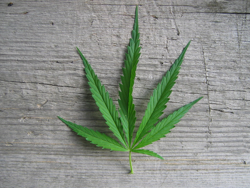 Sic transit gloria mundi